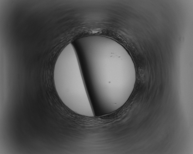 X0000097491442200802220831