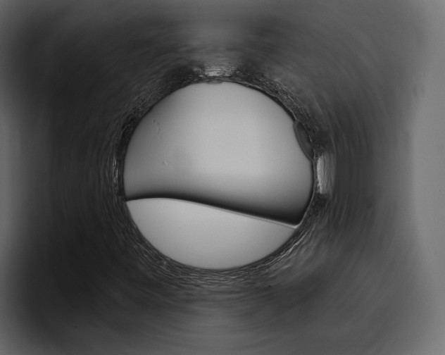 X0000097491443200802220831