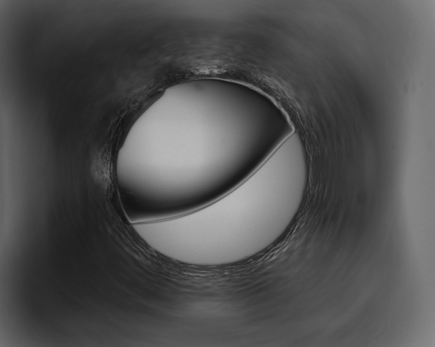 X0000097491444200802220831