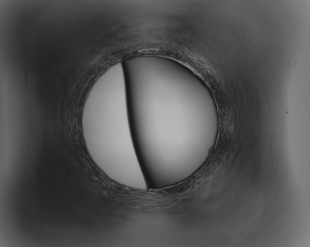 X0000097491445200802220831