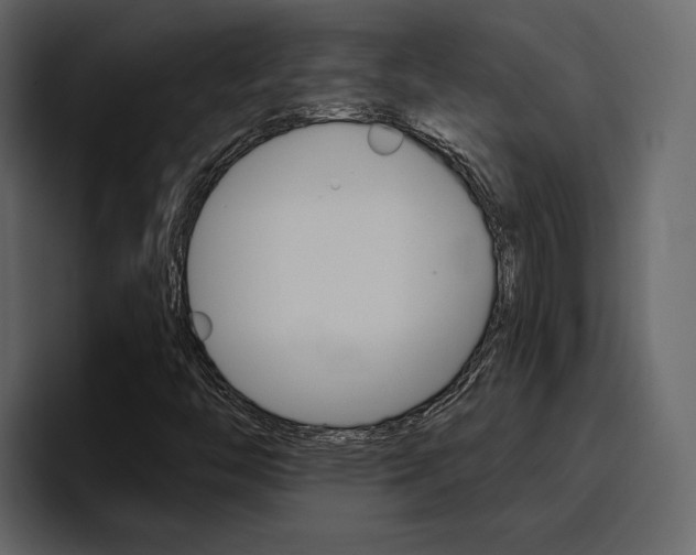 X0000097491446200802220831