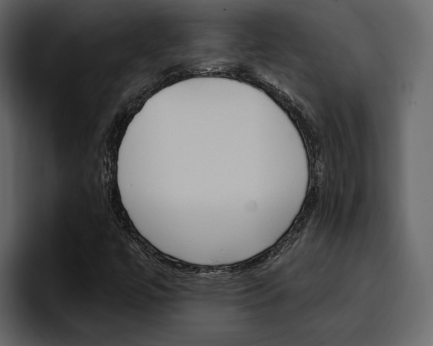 X0000097491447200802220831