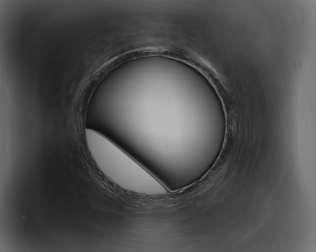 X0000097491448200802220831