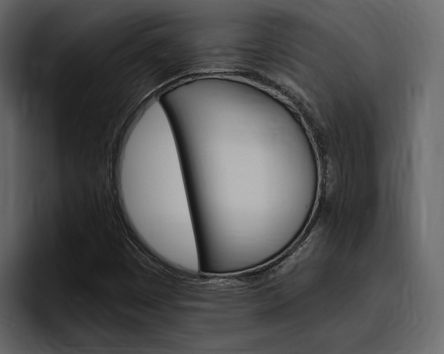 X0000097491449200802220831