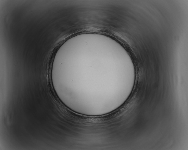 X0000097491451200802220831