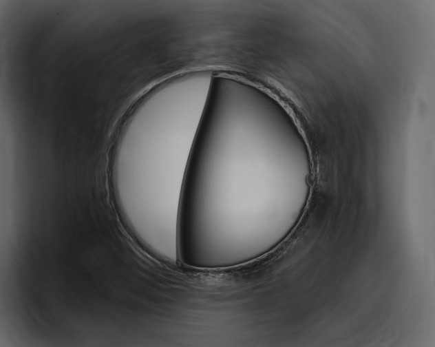 X0000097491452200802220831