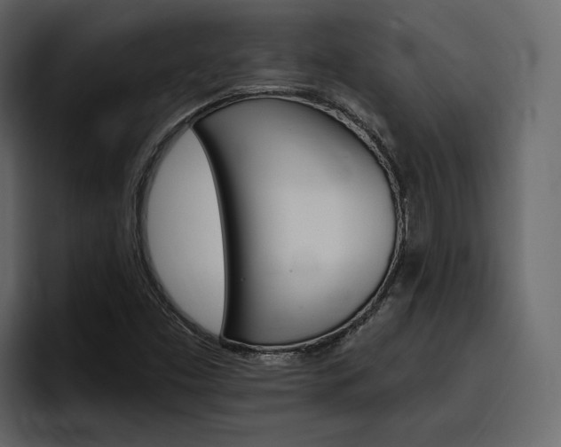 X0000097491453200802220831