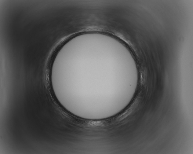 X0000097491454200802220831