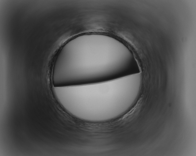 X0000097491455200802220831