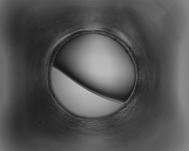 X0000097491456200802220831