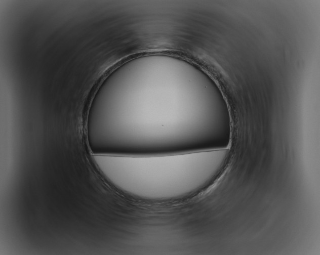X0000097491457200802220831
