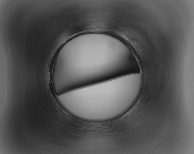 X0000097491459200802220831