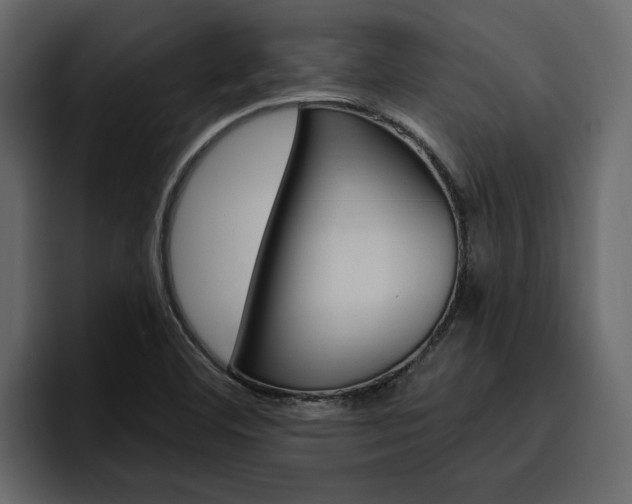 X0000097491460200802220831