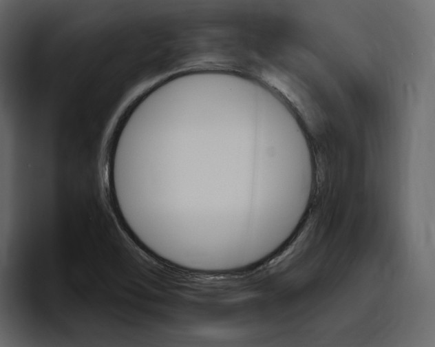 X0000097491462200802220831