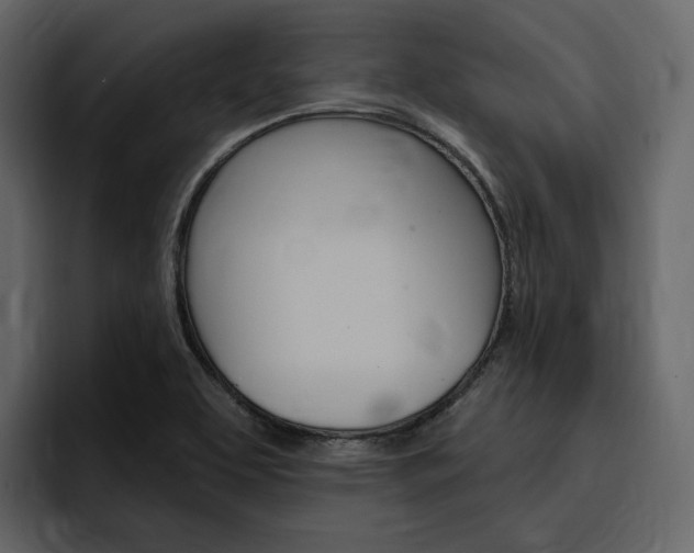 X0000097491463200802220831