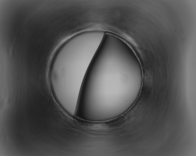 X0000097491464200802220831
