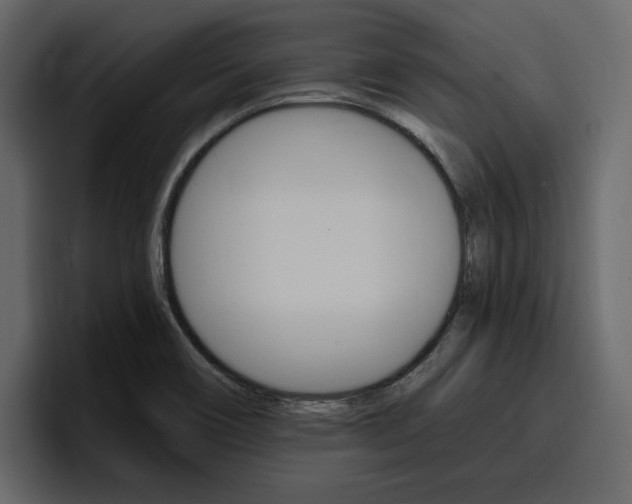 X0000097491466200802220831
