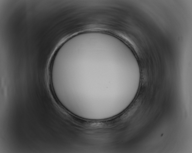 X0000097491467200802220831