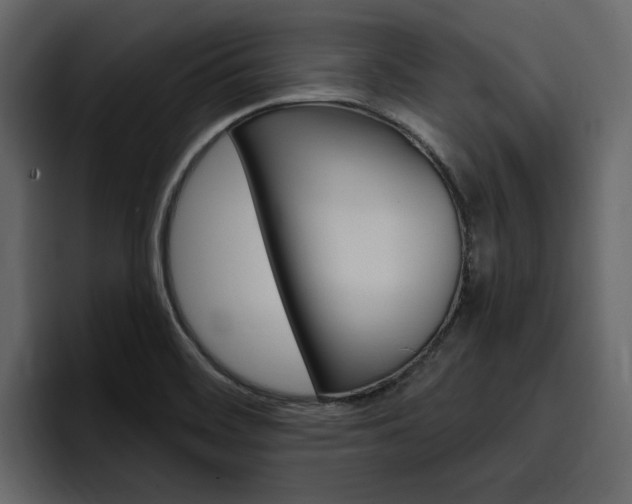 X0000097491468200802220831