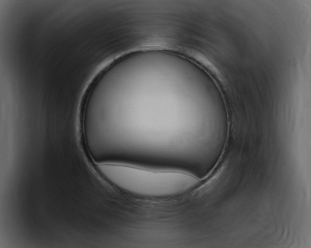 X0000097491469200802220831