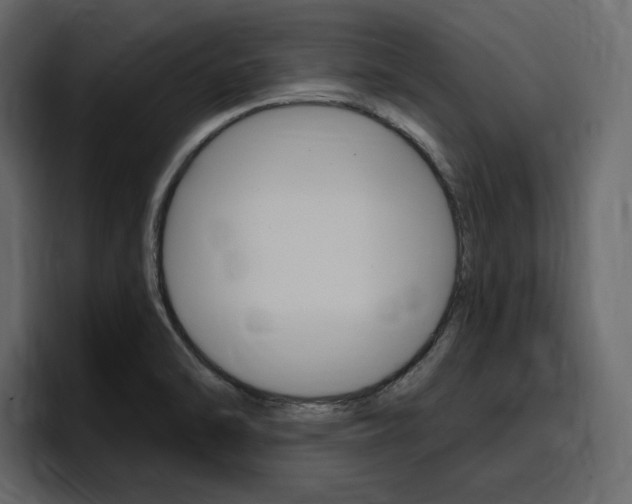 X0000097491470200802220831