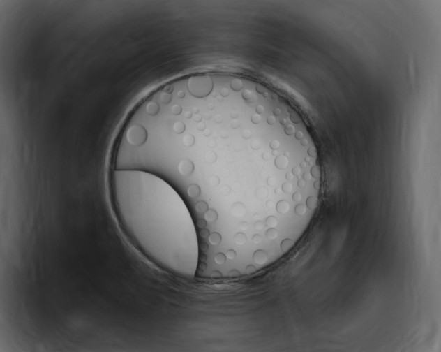 X0000097491471200802220831