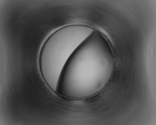 X0000097491472200802220831