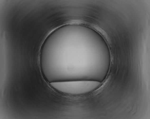 X0000097491473200802220831