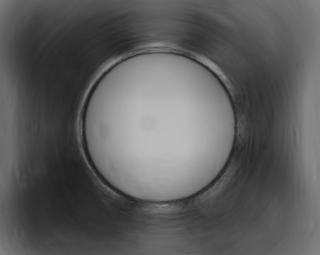 X0000097491474200802220831