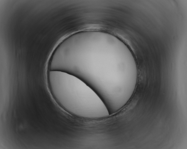 X0000097491475200802220831