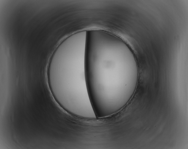 X0000097491476200802220831