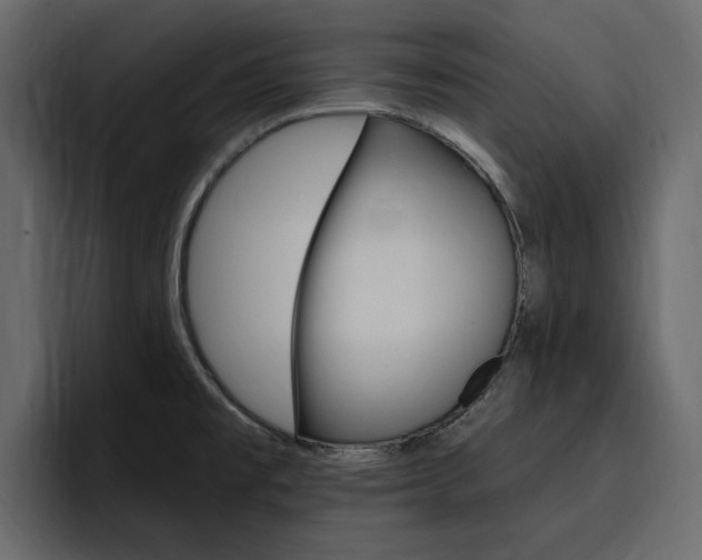 X0000097491477200802220831