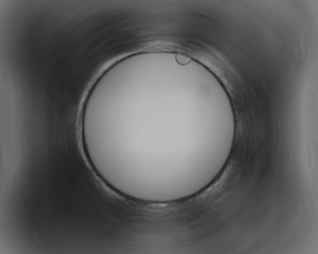 X0000097491478200802220831