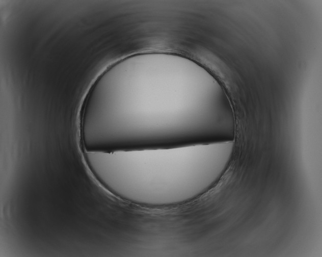 X0000097491479200802220830
