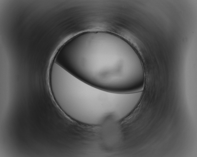 X0000097491480200802220830