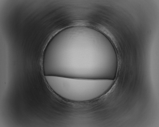 X0000097491481200802220830