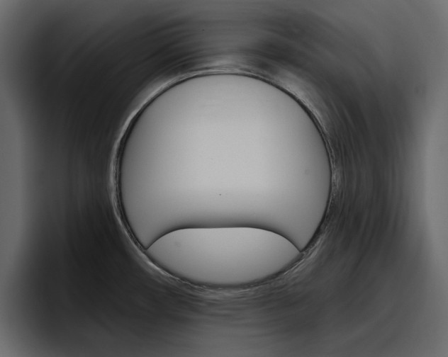 X0000097491482200802220830