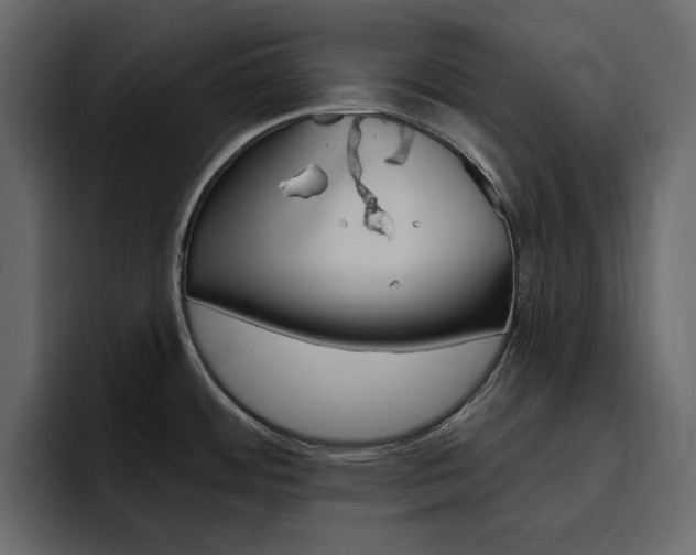 X0000097491484200802220830