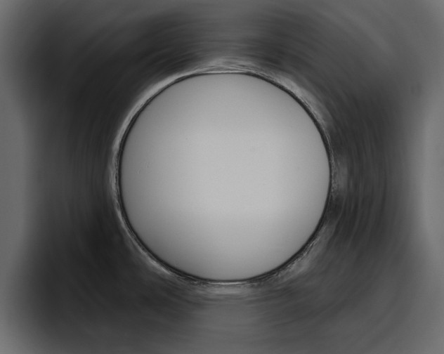 X0000097491486200802220830