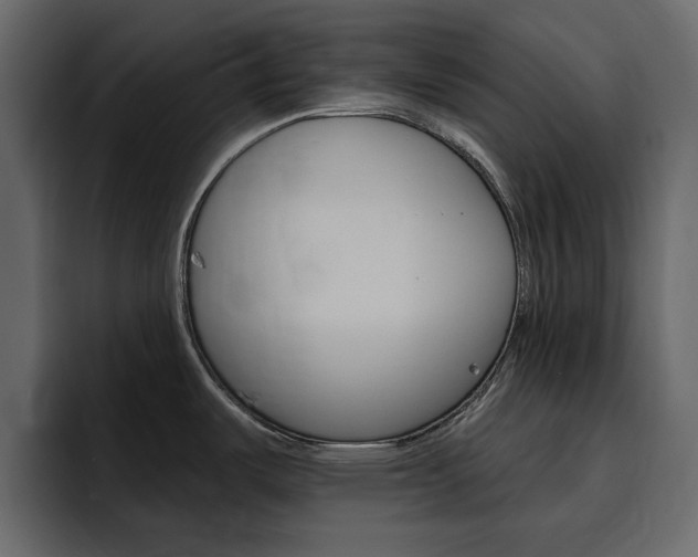 X0000097491487200802220830