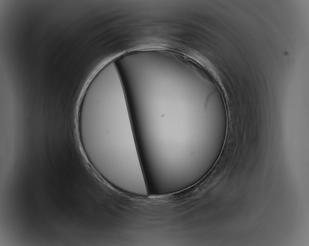 X0000097491488200802220830