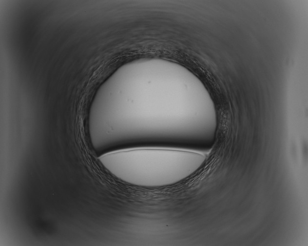 X0000097491489200802220830