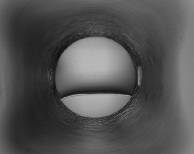 X0000097491491200802220830