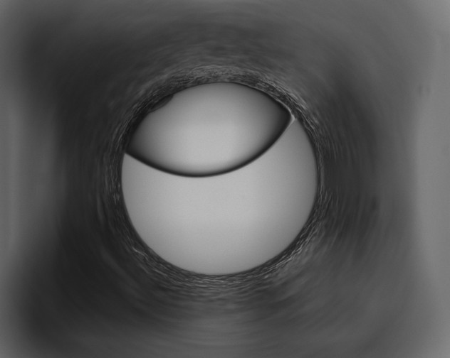 X0000097491492200802220830