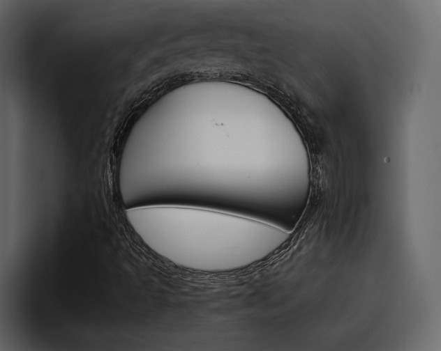 X0000097491493200802220830