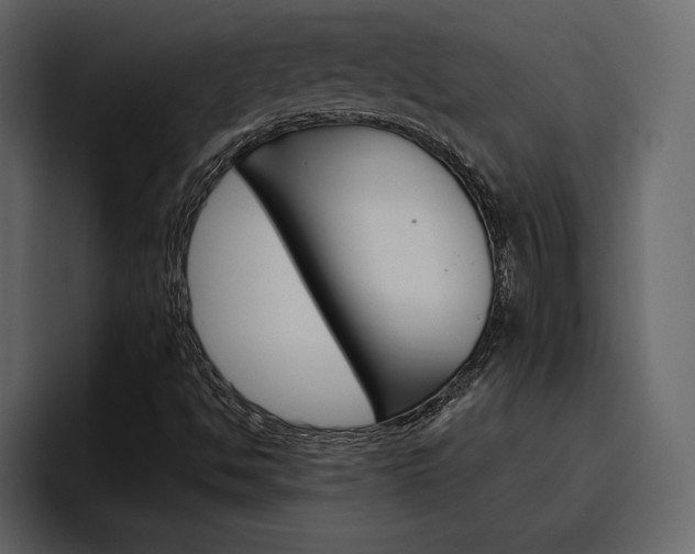 X0000097491494200802220830
