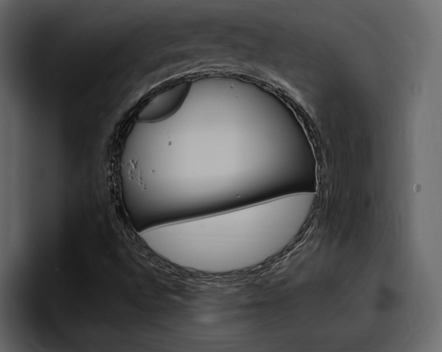 X0000097491496200802220830