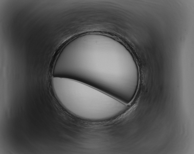 X0000097491497200802220830