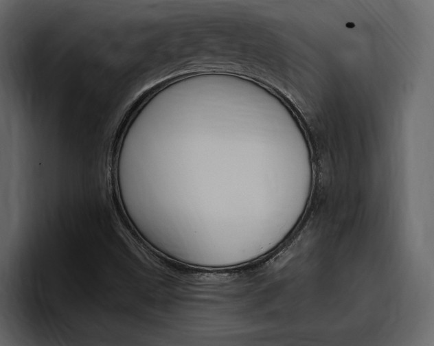 X0000097491499200802220830