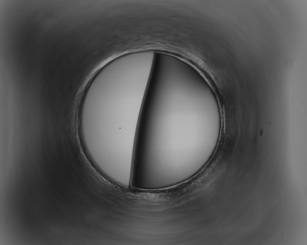 X0000097491500200802220830